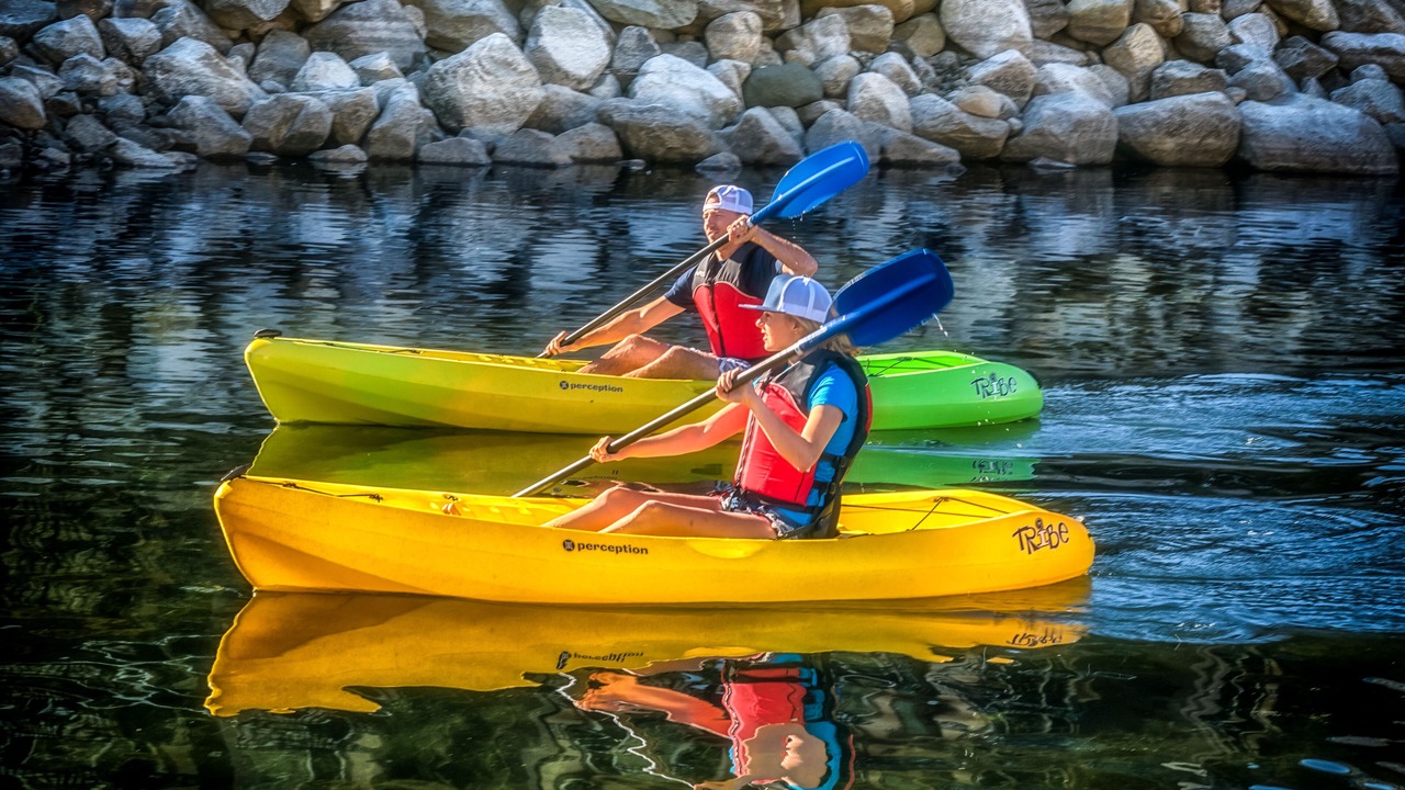 Photo of Others in Nelson