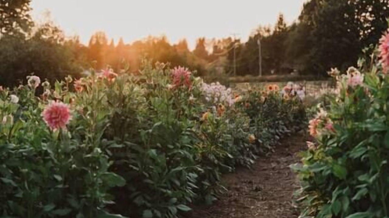 Photo of Outdoor in Langley
