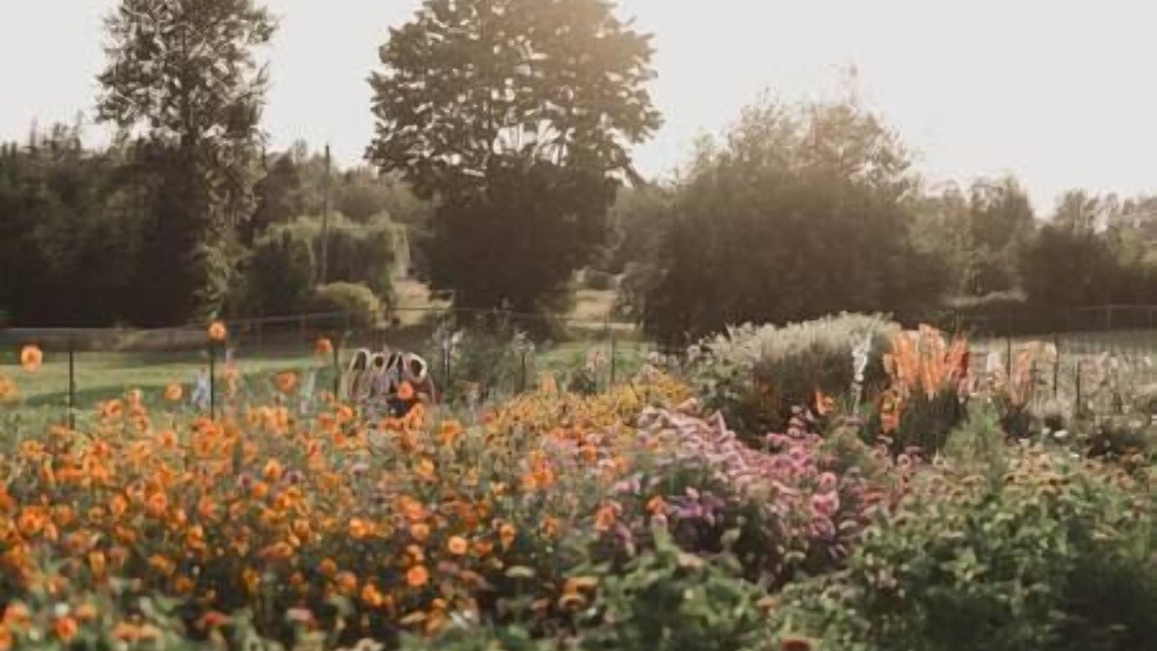 Photo of Outdoor in Langley