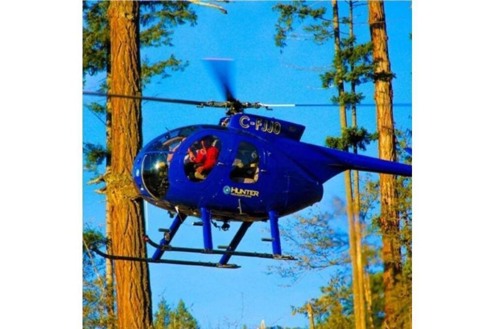 Photo of Others in Pitt Meadows