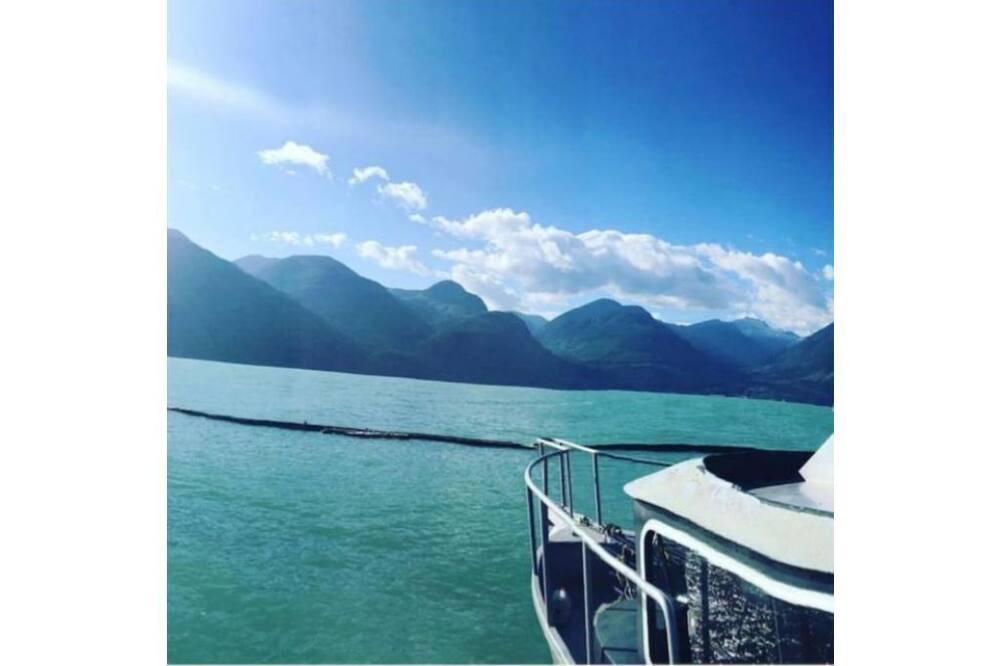 Photo of Others in Pitt Meadows
