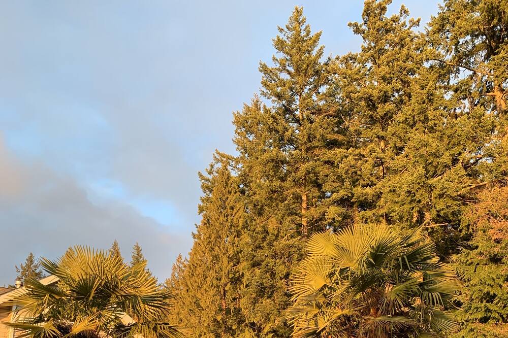 Photo of Outdoor in Davis Bay