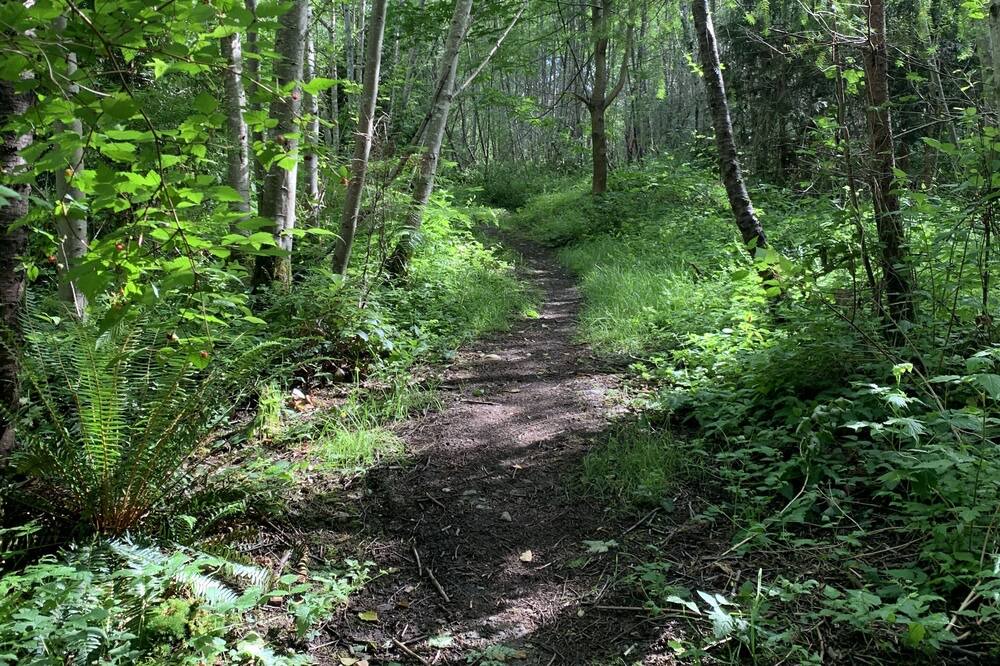 Photo of Outdoor in Davis Bay