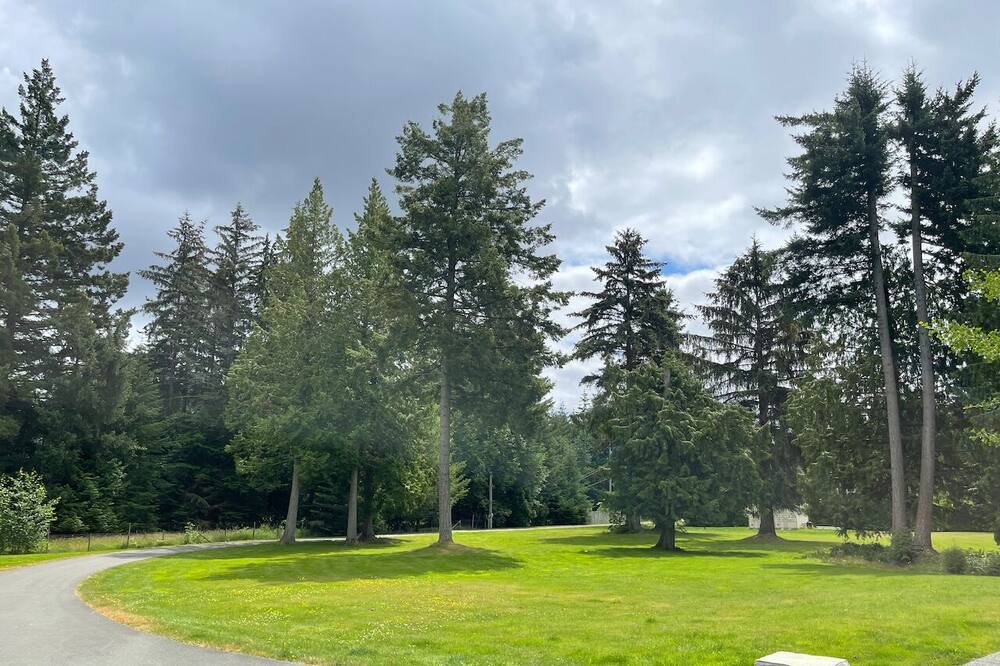 Photo of Outdoor in Comox