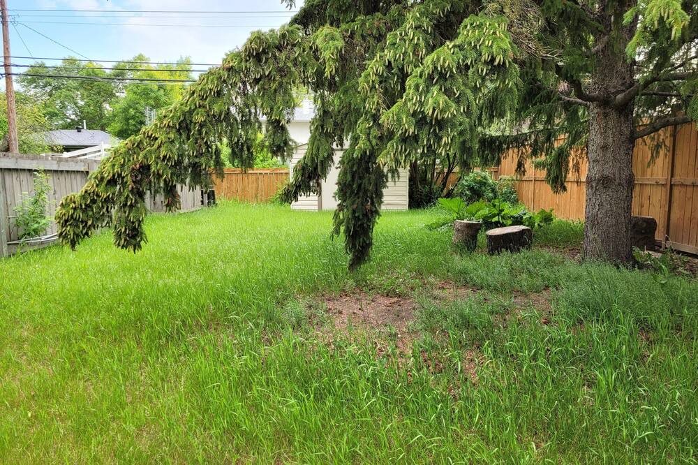 Photo of Outdoor in Highland Park