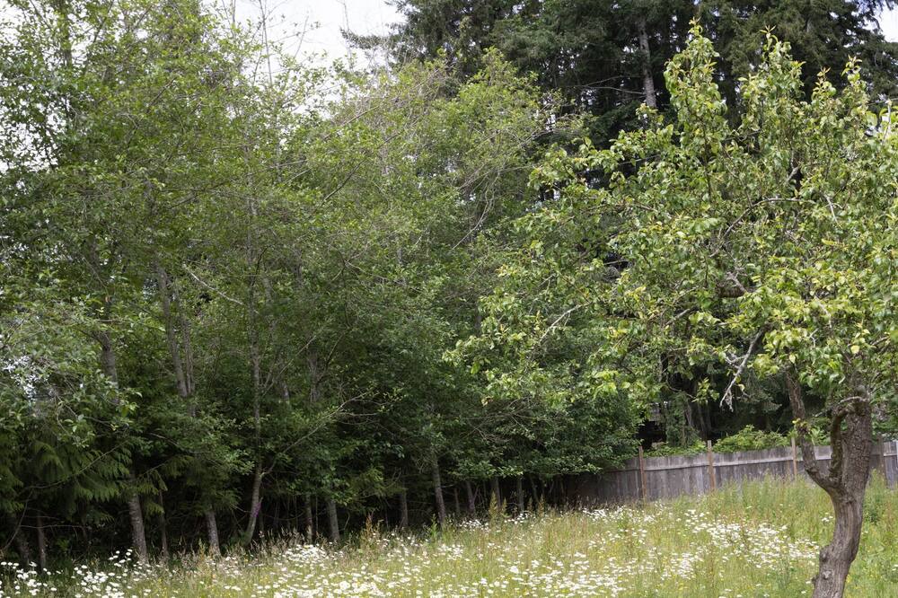 Photo of Outdoor in Black Creek