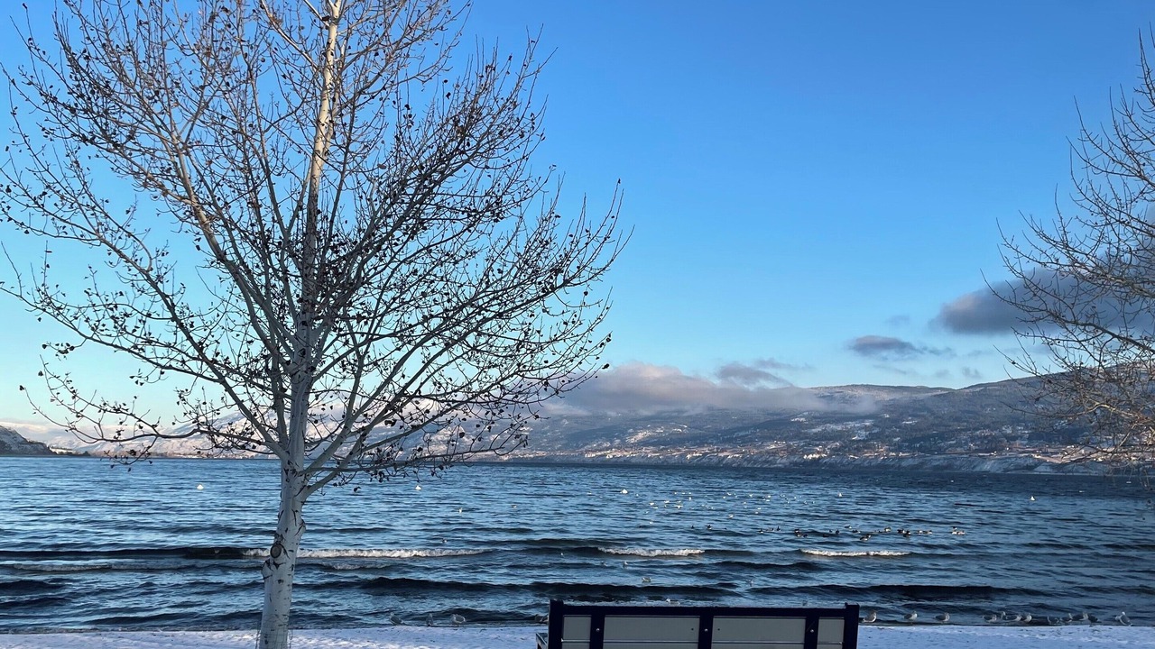 Photo of Others in Okanagan-Similkameen