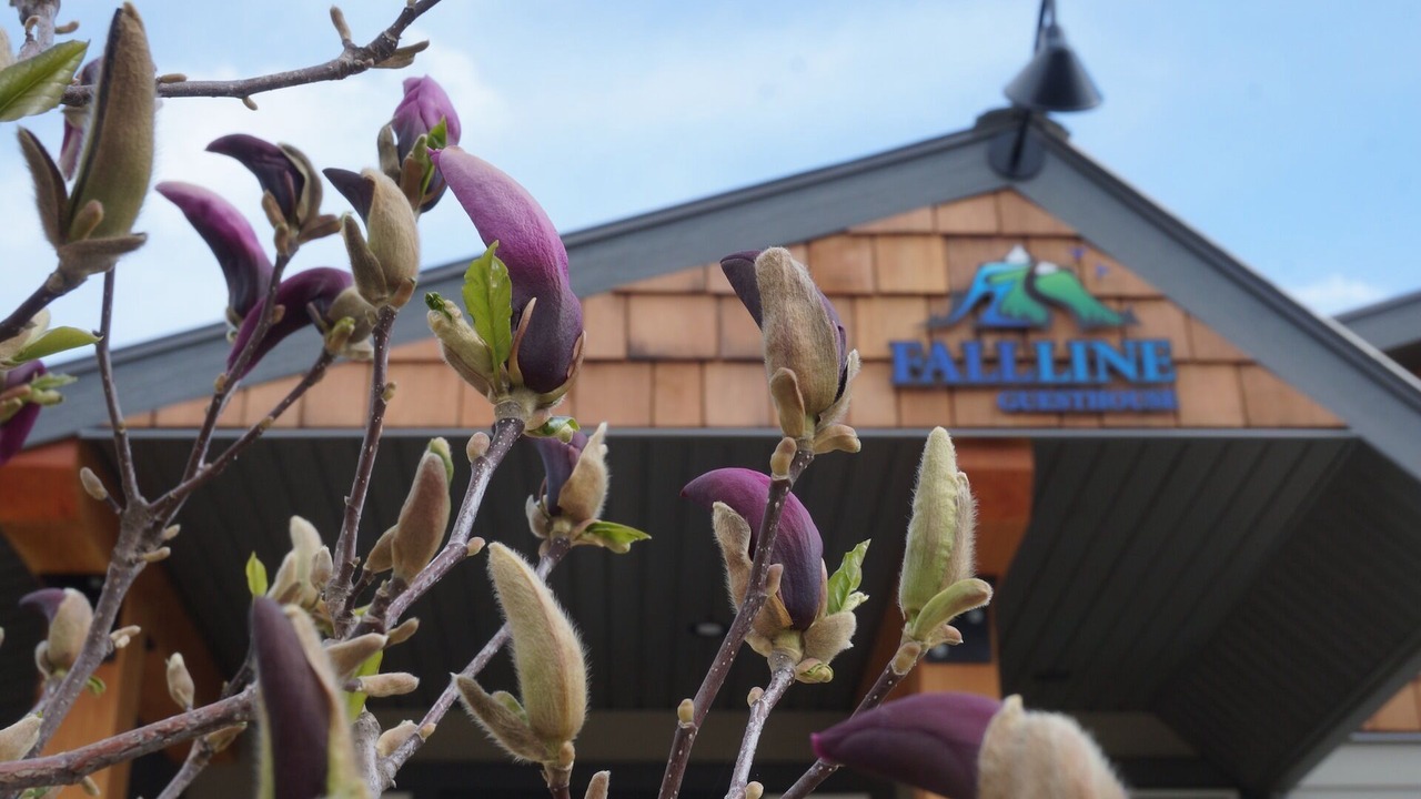 Photo of Outdoor in Revelstoke