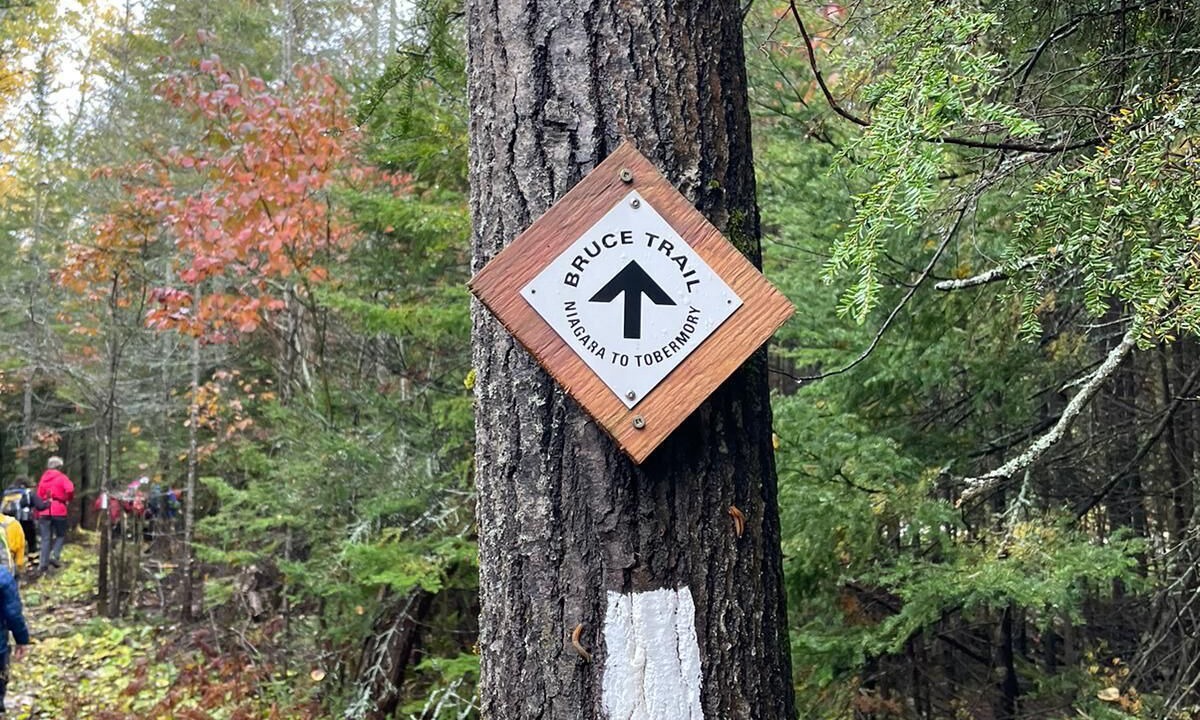 Photo of Outdoor in Miller Lake