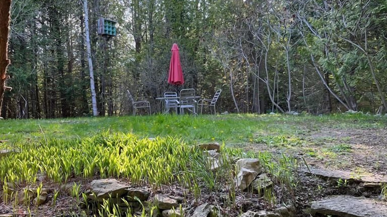 Photo of Outdoor in Miller Lake