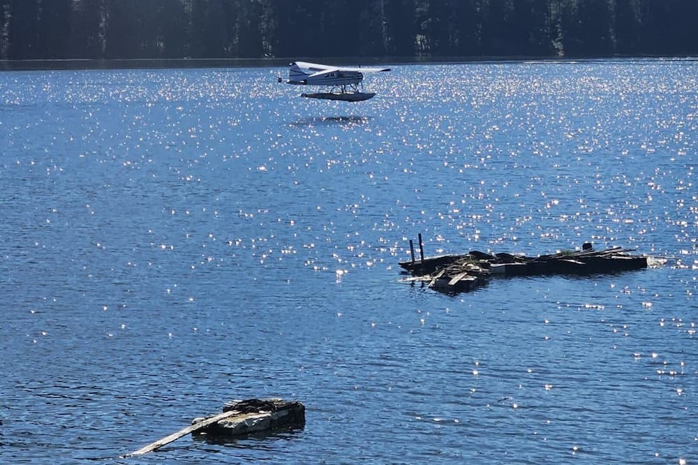 Photo of Others in Coal Harbour