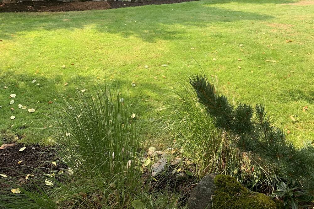 Photo of Outdoor in Regional District of Nanaimo