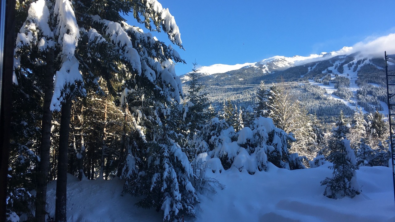 Photo of Others in Whistler Cay Estates