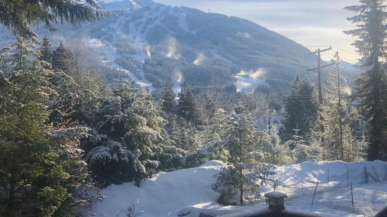 Photo of Outdoor in Whistler Cay Estates