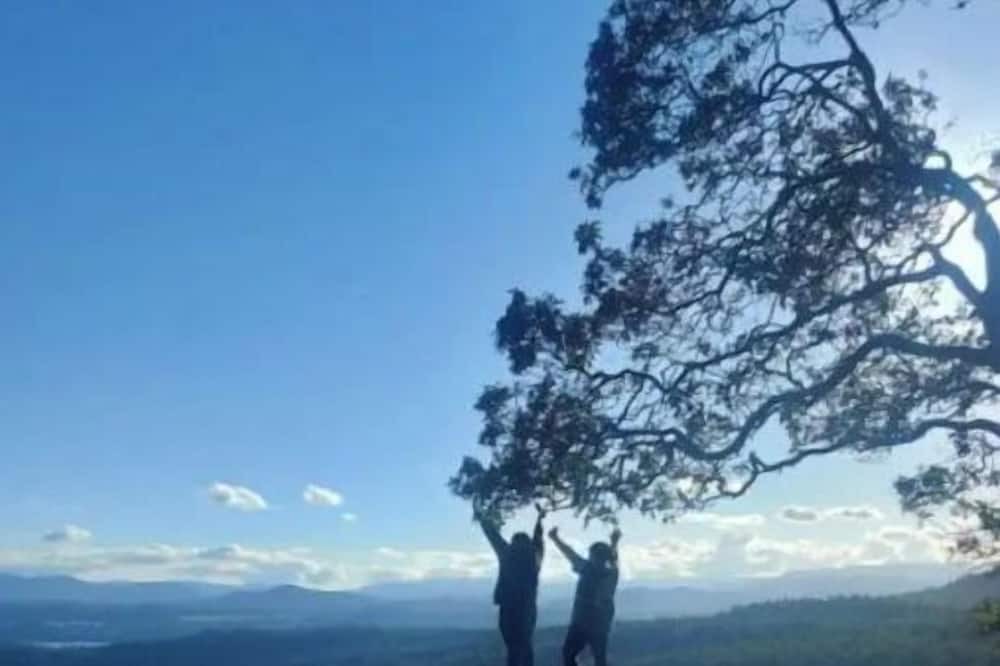 Photo of Others in North Cowichan