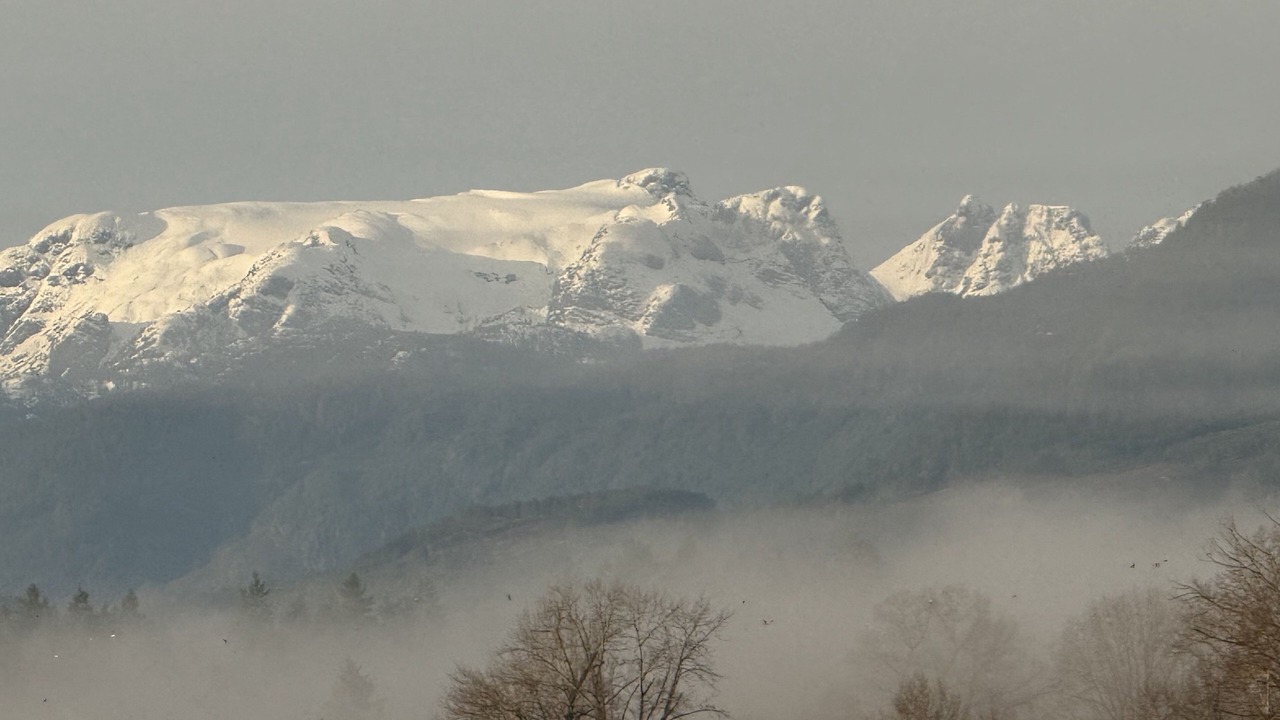 Photo of Others in Courtenay