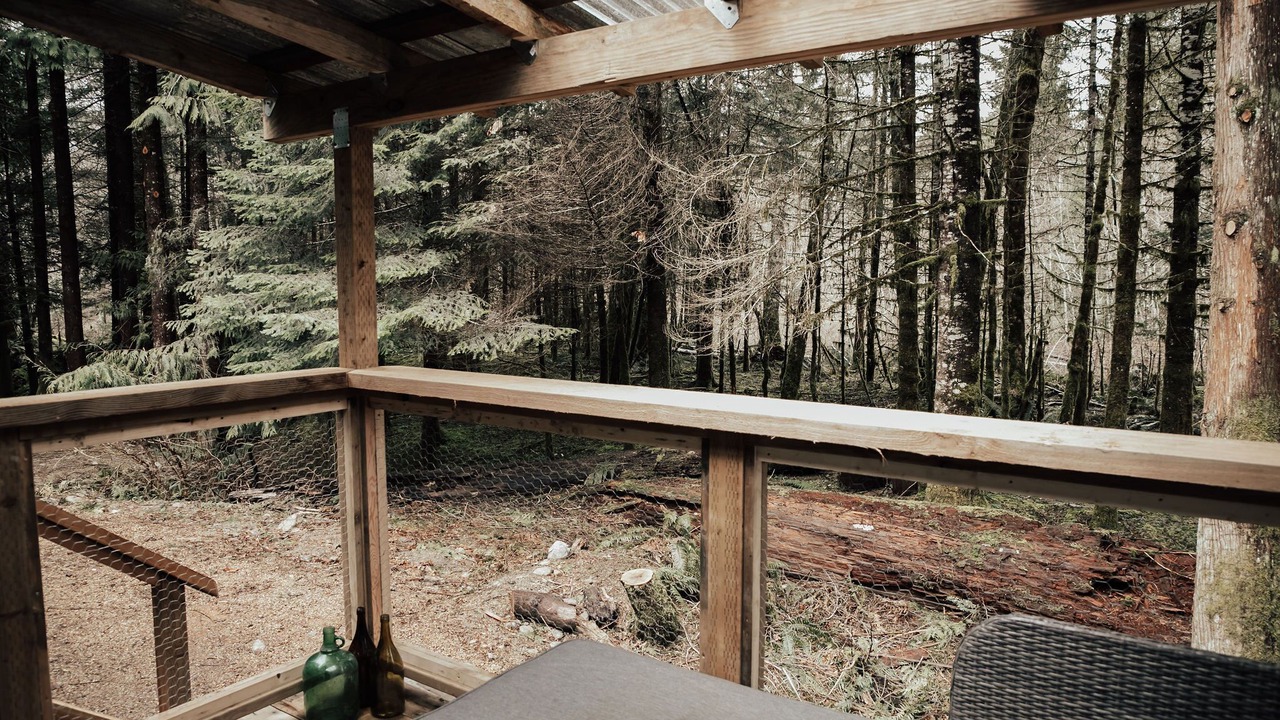 Photo of Outdoor in Lake Cowichan