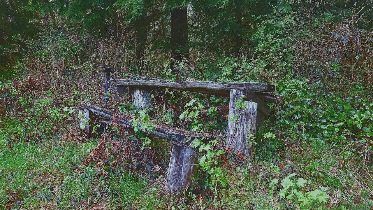 Photo of Outdoor in Lake Cowichan