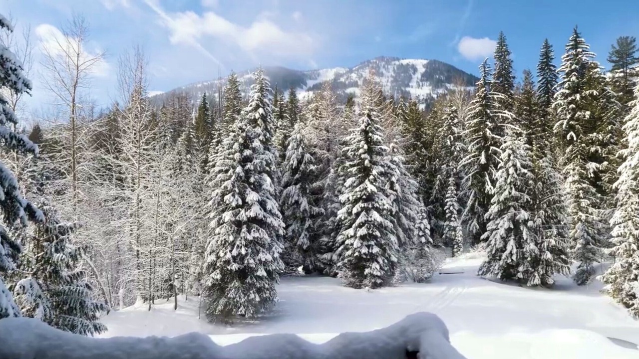 Photo of Others in Rossland