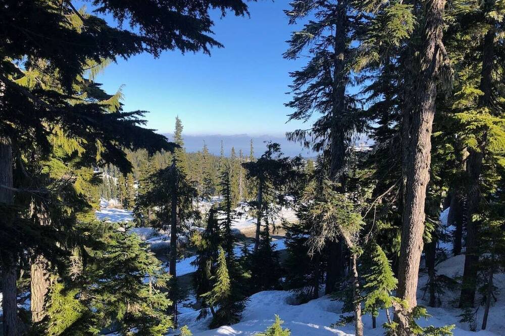 Photo of Outdoor in Courtenay