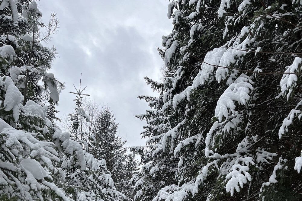 Photo of Others in Bracebridge