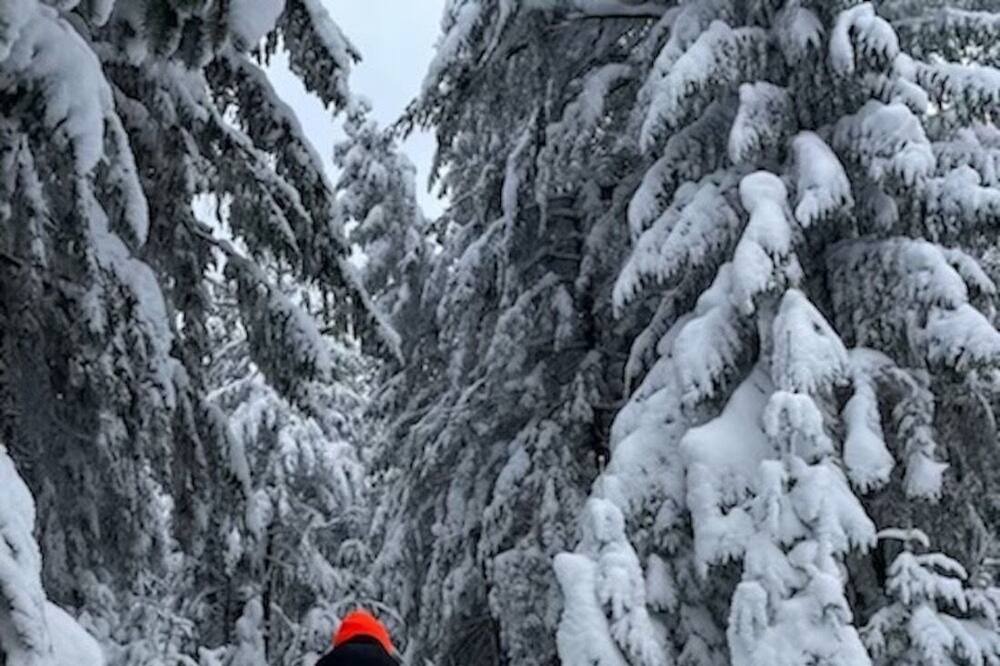 Photo of Outdoor in Bracebridge