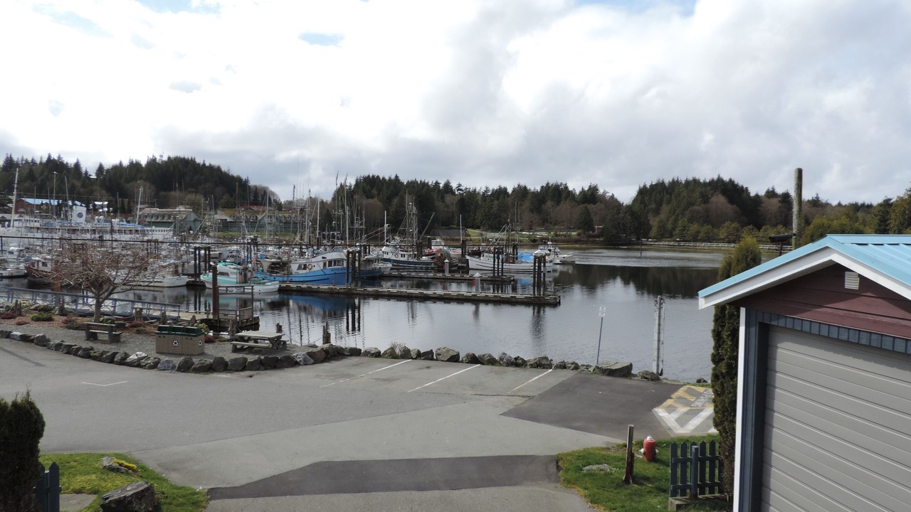 Photo of Outdoor in Ucluelet