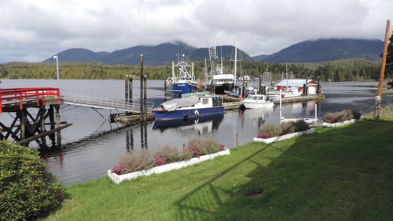Photo of Others in Ucluelet