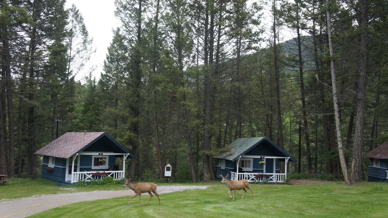 Photo of Others in East Kootenay