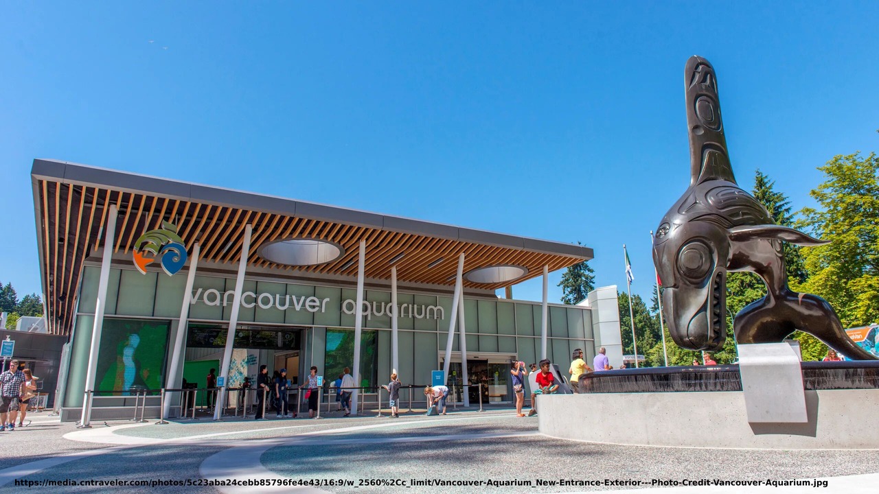 Photo of Others in Kitsilano