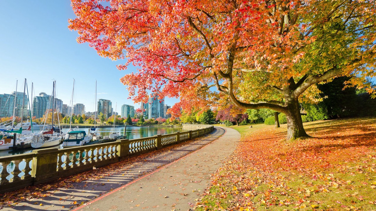 Photo of Others in Kitsilano