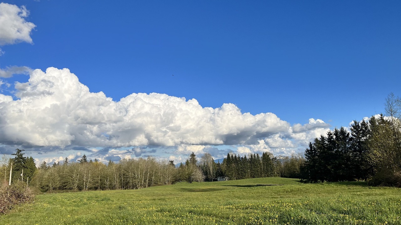 Photo of Outdoor in Langley