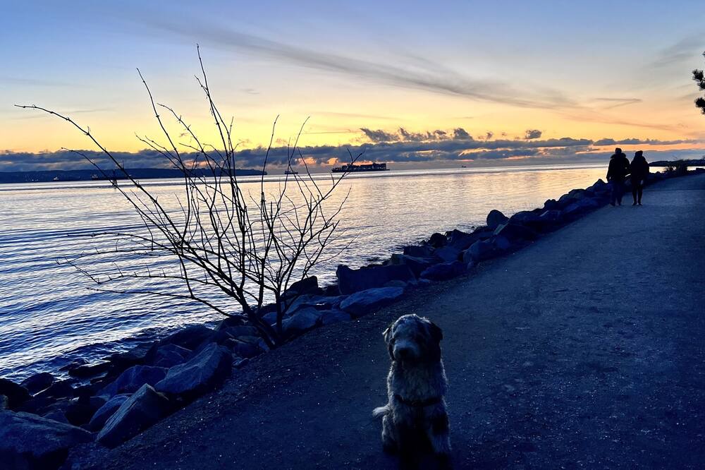 Photo of Others in West Vancouver