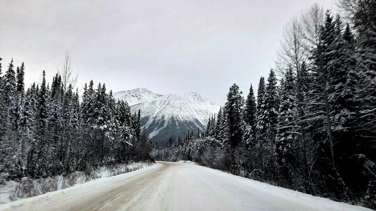 Photo of Others in Dease Lake