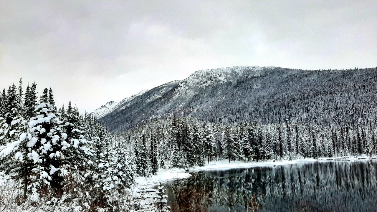 Photo of Others in Dease Lake