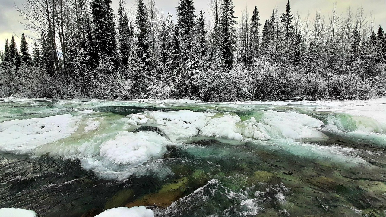 Photo of Outdoor in Dease Lake