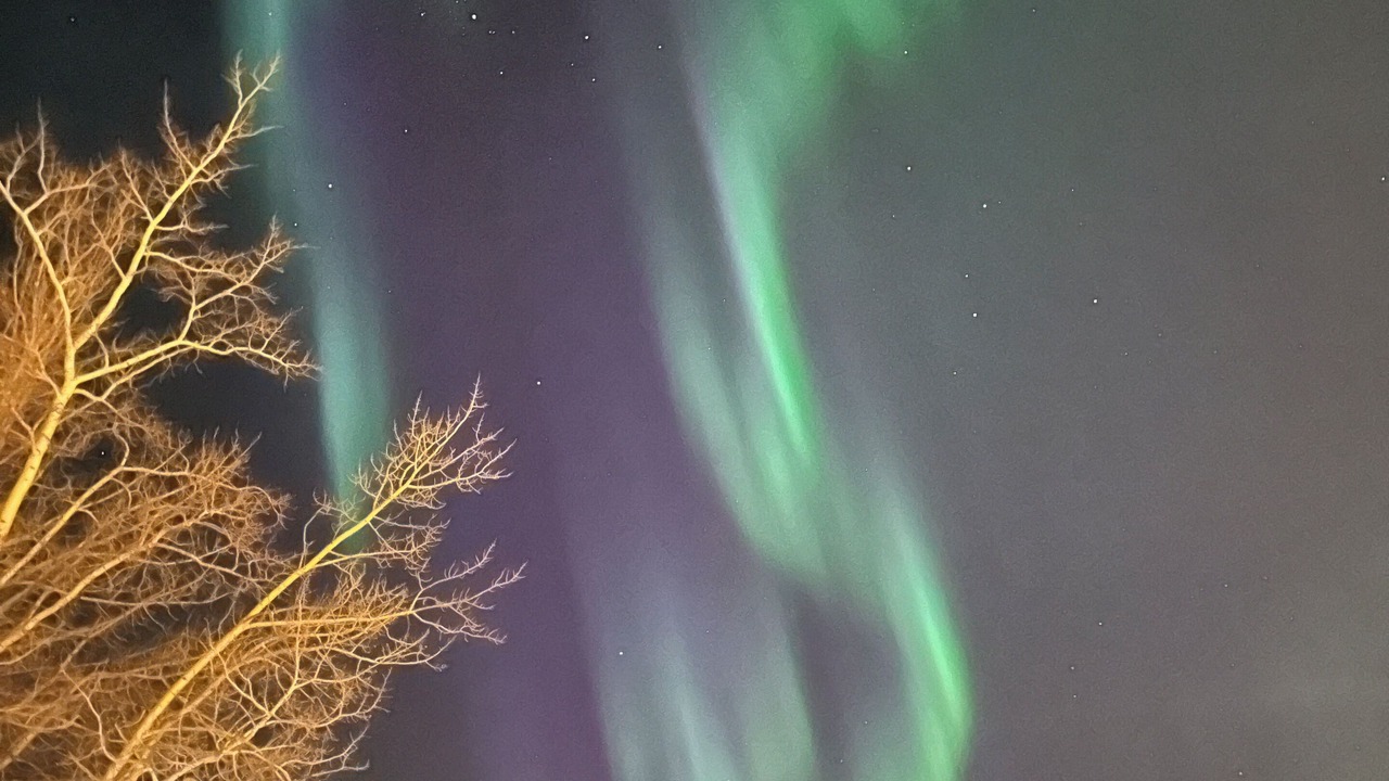 Photo of Outdoor in Haines Junction