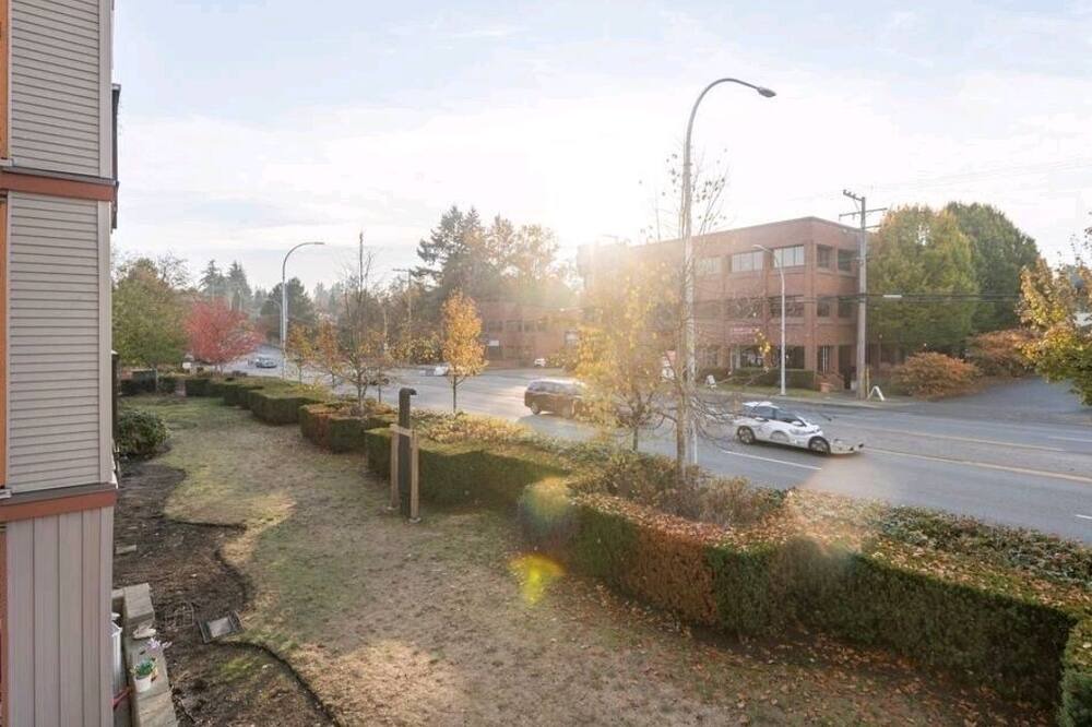 Photo of Others in Surrey Newton