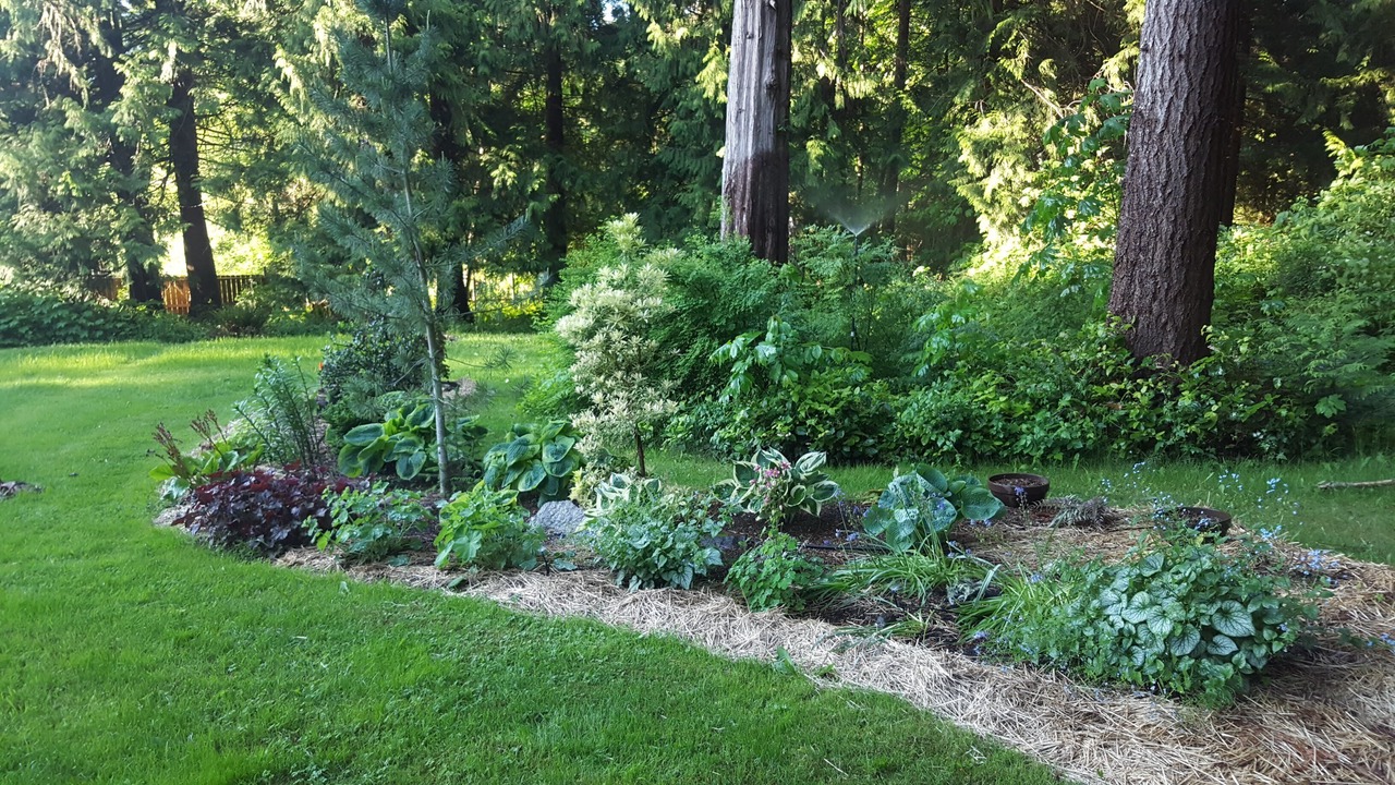 Photo of Outdoor in Comox