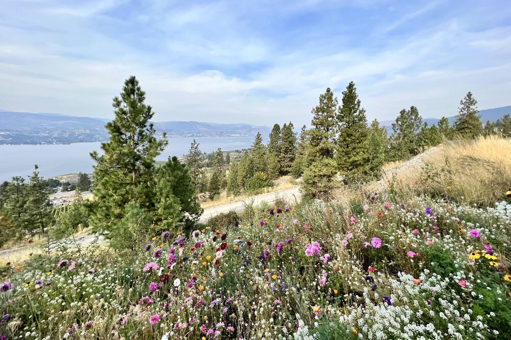 Photo of Others in Okanagan-Similkameen