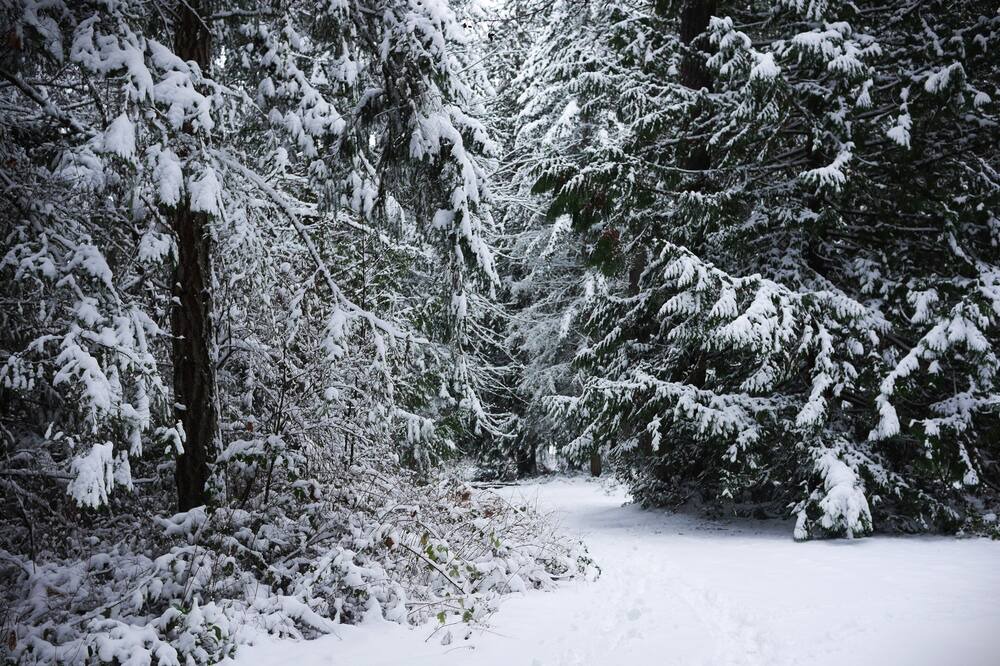 Photo of Outdoor in Regional District of Nanaimo
