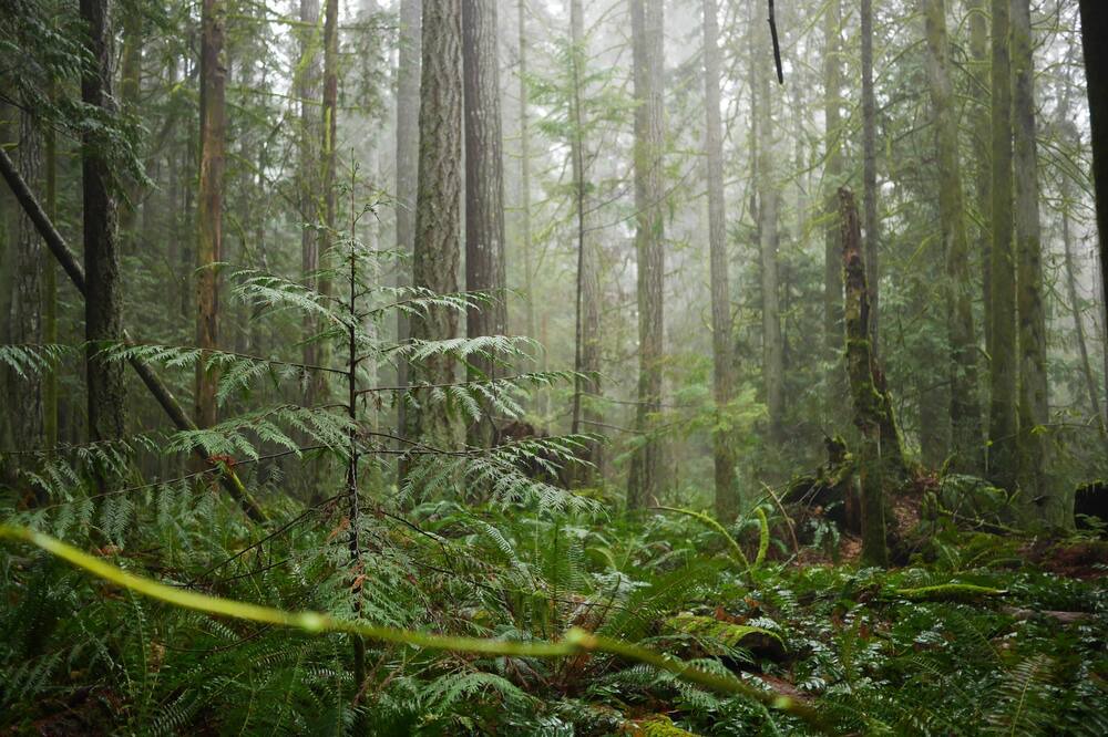 Photo of Outdoor in Regional District of Nanaimo
