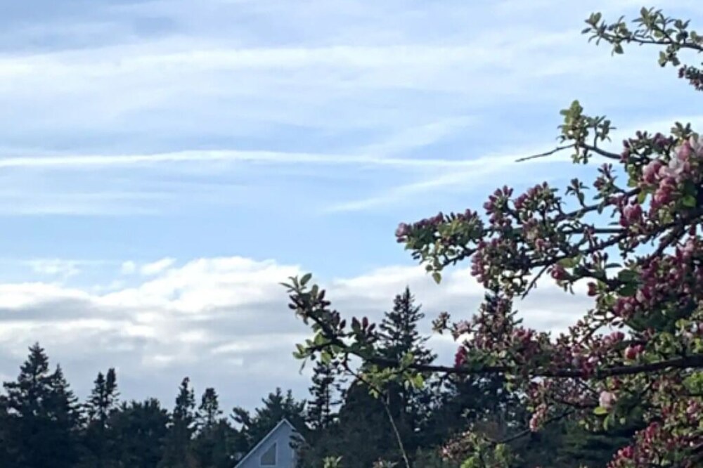 Photo of Outdoor in Ragged Island