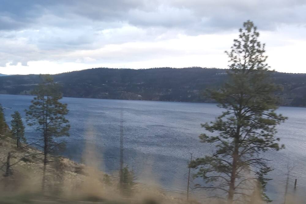 Photo of Others in Whitehorse