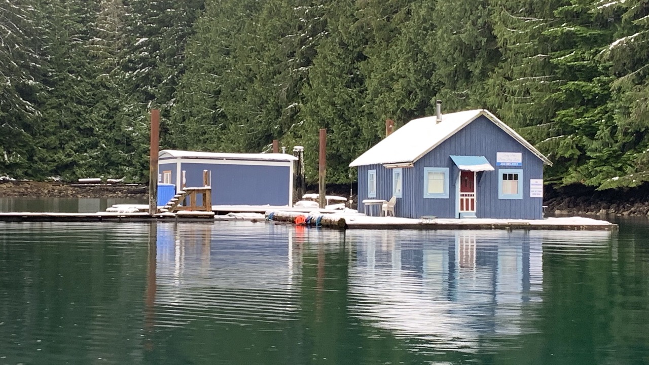 Photo of Outdoor in Regional District of Mount Waddington