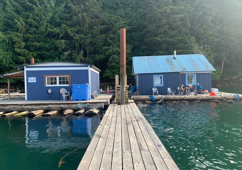Photo of Outdoor in Regional District of Mount Waddington