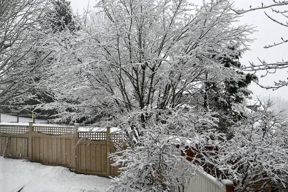 Photo of Outdoor in Fleetwood