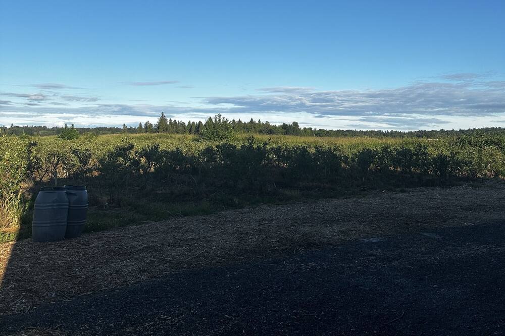 Photo of Outdoor in Surrey