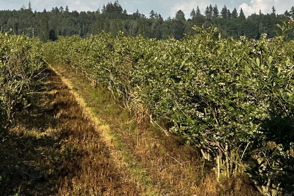 Photo of Outdoor in Surrey