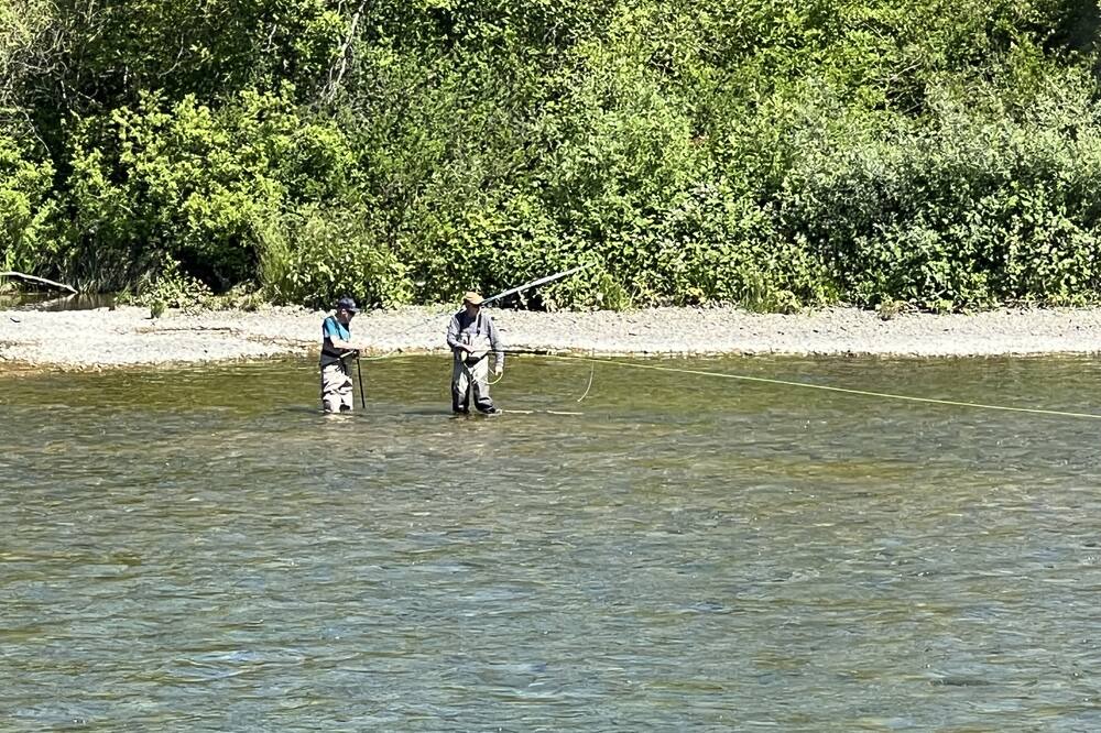 Photo of Others in Campbell River